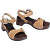 Unisa INCA_BS BARLEY 38