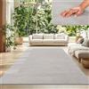 TT Home Tappeto Salotto Pelo Corto Monocolore Design Moderno Lavabile, Colore: Argento, Dimensione:200 cm Quadrato