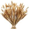 Minnhua 160PCS Bouquet di Pampas Grass Essiccato Fiori Secchi Decorativi,Fiori Essiccati Bunny Tails,Pompas Marroni,Pampas Grass Decorazione da Tavolo Boho per Matrimoni, Feste Rustiche, Baby Shower