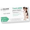 Felome Test del DNA MDR1 per Cani - Test di Sensibilità Farmaceutica per il tuo cane - Risultati in 2 settimane - Test di salute Cuccioli e Cani