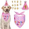 GWEOR Set Compleanno Cane Rosa, Cappello & Bandana Riutilizzabili con Numeri, Abito Accessorio Decorazione per Festa Compleanno Cane Medio e Grande, L