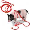 Meow&Woof Pettorina e guinzaglio per maiale, corda regolabile per prevenzione delle fughe, design tutto in uno, tutte le fasi della vita, mini maialini da piccoli a medi, lunghezza 1,5 m, rosso