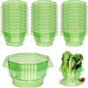 PORFOYO Colletti per Lumache: 30 Pezzi Anello Protezione Lumachicida, Anti Lumache Anelli, Anelli Di Protezione per Lumaches Efficace Protegge Contro Le Lumaches per Le Vostre Piante Da Insalata E Cavoli