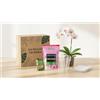 I GIARDINI DI GIULIA - Kit Rinvaso Orchidee con Vaso Trasparente 14cm, Sottovaso, Terriccio Specifico con Bark e Concime Tutto Incluso