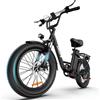 URLIFE Bicicletta elettrica per adulti, 20 x 3,0 fat tire ebike per pendolari urbani, batteria sostituibile da 48 V, 13 Ah, fino a 100 km, motore da 250 W, bicicletta elettrica per uomo e donna