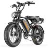 Snokco BK20 Bicicletta elettrica per adulti, 48V 20Ah, batteria rimovibile, autonomia 60-100 km, bicicletta elettrica 20 pollici, per tutti i terreni, doppia sospensione, 7 marce, doppio freno a disco