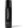 SEBASTIAN PROFESSIONAL Hair Care Reshaper Strong Hold and Touchable Feel Hairspray 75ml - Lacca