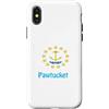 Rhode Island Cities & Towns Custodia per iPhone X/XS Souvenir degli Stati Uniti Bandiera USA Pawtucket Rhode Island