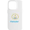 Rhode Island Cities & Towns Custodia per iPhone 14 Pro Souvenir degli Stati Uniti Bandiera USA Pawtucket Rhode Island