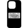 ROMYLP Roman Numerals Years License Plat Custodia per iPhone 15 Pro 2028 anno retrò