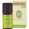 FLORA Srl GAROFANO CHIODI OE 5ML