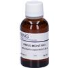 HERING Pinus Montana Gemmeme Macerato Glicerico 30 ml Gocce orali