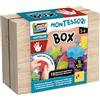Liscianigiochi- Montessori Box Touch, 105441, Multicolore