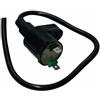Generico Bobina di Accensione Esterna per Honda SH 125-150 2001-2008, Vespa LX Euro 3 2006-2008, Gilera Runner VX-VXR 125, Yamaha X-MAX 250