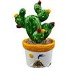 Doni Bomboniere Matrimonio 12PZ Piantina di Cactus in Ceramica Segnaposto Calamita Simboli Sicilia Nozze Feste A Tema Vulcano con Fiori Gialli E Rossi Vaso CN Raffigurazione Sole Idee Regalo Complete