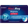 NATURWAREN ITALIA Srl DR THEISS MAXI MAG EXPR14STICK