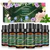 ODIFRIG Oli Essenziali per Diffusore 6x10ml,Set Oli Essenziali Naturali per Aromaterapia Relax, Sonno,Anti Stress e Benessere,Spa Casa, Umidificatore - Refresh,Relief,Sleep,Breathe,Immunity & Happy
