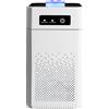 Purificatore d'aria, purificatore d'aria con generatore di ioni negativi per odori di fumo per filtro HEPA H11 domestico, purificatore d'aria efficiente