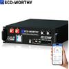 ECO－WORTHY ECO-WORTHY LiFePO4 48V 100Ah V3 Bluetooth con BMS da 100A, batteria al litio da 5.12KWh 48V per armadio server, batteria solare per impianto fotovoltaico