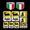 NONE Adesivo riflettente AGIP per moto con 2 adesivi in alluminio, accessori per moto e scooter per Ducati Aprilia Moto Guzzi Benelli Vespa
