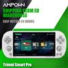 TRIMUI Console di Gioco Portatile TRIMUI Smart Pro, Schermo IPS da 4.96'', Emulatore Linux, Console Retro per Videogiochi, Regalo per Giocatori PSP