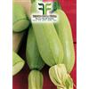 Tesoro della Terra Zucchino Bianco di Trieste