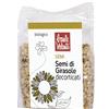HEALTION Srl SOCIETA' BENEFIT BAULE Semi Girasole Sgusc.250g