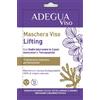 CONSULTEAM Srl ADEGUA MASCHERA VISO LIFTING 45 G