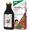 SALUS HAUS Gmbh & Co KG Floradix kids 250 ml