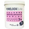 HELEN SEWARD FORELOCK BLANK POLVERE DECOLORANTE RAPIDA BIANCA 650 GR
