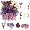 RUGBOL Fiori Secchi Pressati per Artigianato, Resina, Scrapbooking, Creazione di Gioielli e Decorazioni Floreali (Viola)