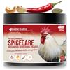 DADECARE Spicecare Integratore Erbal per Galline in Polvere, con Zucca, Aglio e Chili, Mangime Complementare per l'Equilibrio Intestinale di Galline Ovaiole e Pollame da Cortile, 220 g
