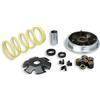 Malossi VARIATORE MULTIVAR PER SCOOTER SUZUKI KATANA 50 2T MALOSSI 5111298