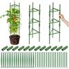 PORFOYO 2 Pezzi Aiuto per Pomodori, Traliccio per Pomodori, Tomato Plant Support Regolabile 120 Cm, Confezioni di Gabbie di Pomodoro, Supporto per Piante Rampicanti per Verdure, Fiori, Frutta, Vite