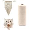 Anicy Filo macrame 1mm x 450m, 100% Cotone macrame corda, Macramè filo, Per artigianato fai da te, decorazioni murali, acchiappasogni intrecciati, decorazioni per matrimoni bohémien (Beige)