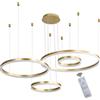 WayLuoung LED Lampadario Metallo | 4 Cerchi 40+60+80+100cm | 120W Lampada Sospensione Soffitto Anelli, Telecomando Dimmerabile 3000-6000K, Lampada Sospensione Paralume Acrilico Soggiorno Camera【Oro】
