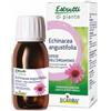 Boiron Estratti di Piante Echinacea angustifolia Boiron - Integratore Alimentare Per le Difese Immunitarie e Vie Respiratorie, Contro Malanni di Stagione.