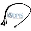 Phobya Y-cable 3Pin Molex to 3x 3Pin Molex 60cm - BLACK