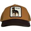 GOORIN BROS BASEBALL CAP BAD BOY ROTWAILLER MARRONE