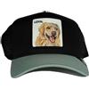 GOORIN BROS BASEBALL CAP LOYAL GOLDEN RETRIVER AZZURRO NERO