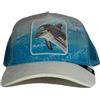 GOORIN BROS BASEBALL CAP PLAYER DELFINO MARE