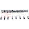 Engine Care Parts Citroen Kit Albero a Camme 1.6 HDi 8v DV6C 0801.FC 0903.65 0807.30