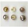 NATURAL ROSE CUT DIAMONDS 0,18 CT 6 PCS Forma Rotonda Taglio Rosa Naturale Diamante Sciolto Per Regalo