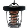 AYZLGAA for Suzuki Marine Df8a 9.9 15 20 25 30a Outboard Engines 17670-94j00 17670-94j02 17670-94j01 Thermostat 60°