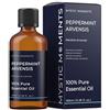 Mystic Moments | Peppermint Arvensis Olio essenziale 100 ml - Olio puro e naturale per diffusori, aromaterapia e massaggio miscele senza OGM vegano