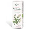 Caira Laboratorio Erboristico CAIRA NEPETASATIVA MACERATO IDROALCOLICO GOCCE 50 ML