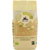 Alce Nero ZUCCHERO DI CANNA DEMERARA BIO INDIA FAIRTRADE 500 G