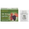 Erbamea VITE ROSSA GAMBE TISANA BIOLOGICA