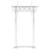 Bolt Edge Supporto da pavimento per TV - Per 32"-65" - Universale - Regolabile in altezza - Bianco