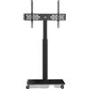 OEM Supporto TV mobile per schermi da 32 a 60 pollici - Regolabile e orientabile